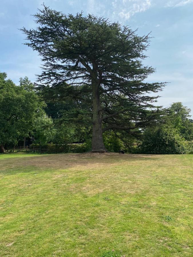 Coundon Lodge קובנטרי מראה חיצוני תמונה